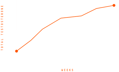 Mane Ascent Formula ™